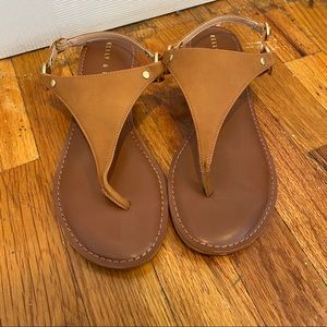Brown Leather Thong Strap Sandals with Gold